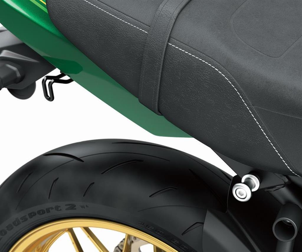 Bagasjekrok (Z650RS)