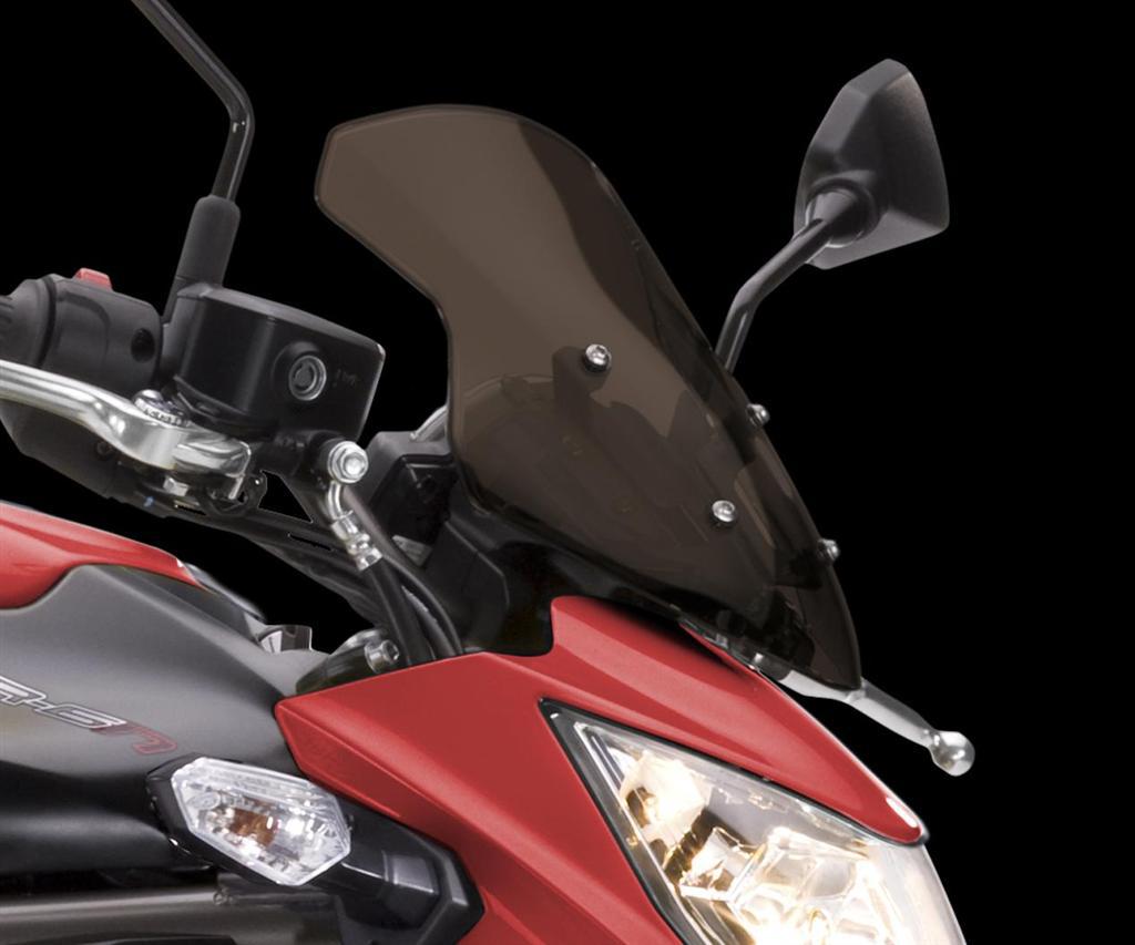 Stor sotet vindskjerm (ER-6n)